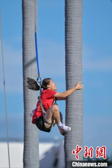 最炫民族风攀椰竞速：比谁攀爬得更快，看看海