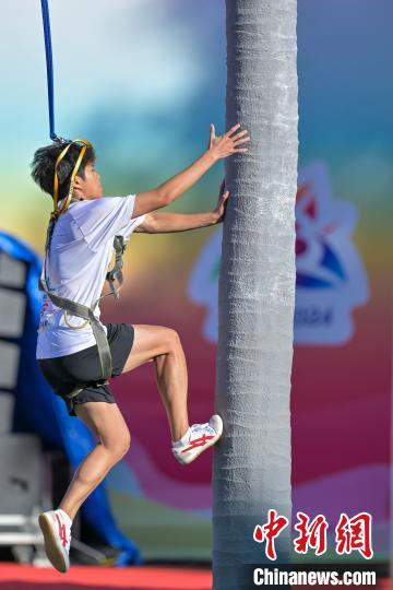 最炫民族风攀椰竞速：比谁攀爬得更快，看看海